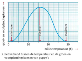 Optimumkromme
