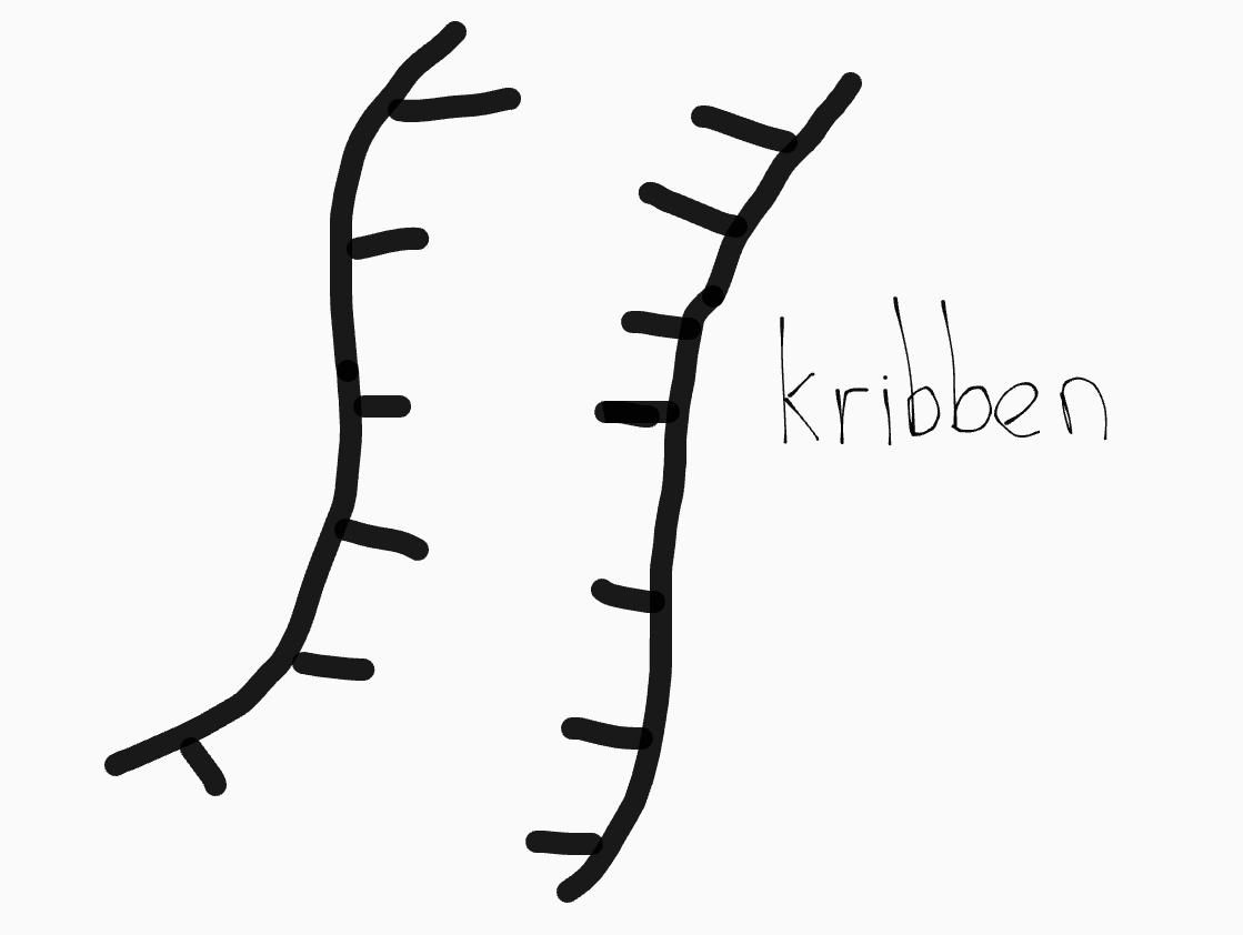 Een bovenaanzicht van kribben